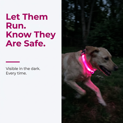 Labrador running through dark woods at night wearing a glowing pink LED collar, alongside the caption Let Them Run. Know They Are Safe. - Visible in the dark. Every time.