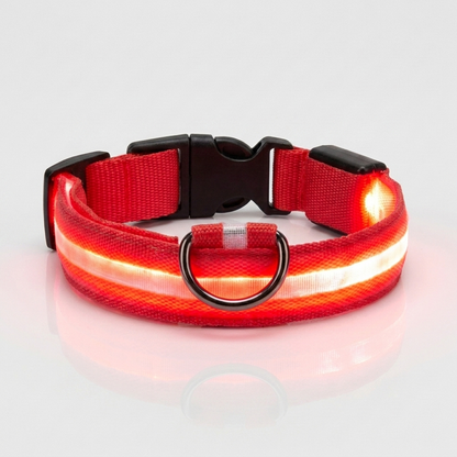 Red light-up nylon dog collar glowing with an illuminated LED strip, shown against a plain grey studio background with a metal D-ring and quick-release buckle.