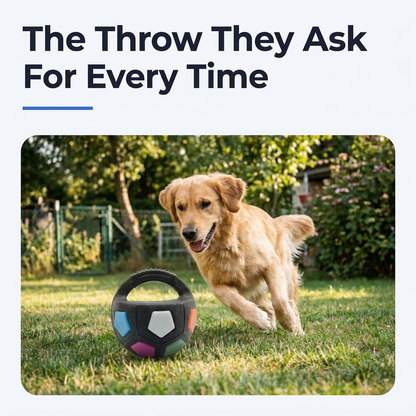 Dog running in the yard chasing the Black Rainbow Soccer Ball Pet Vocal Toy