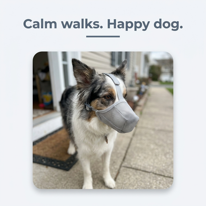 Calm walks happy dog wearing mesh muzzle outdoors