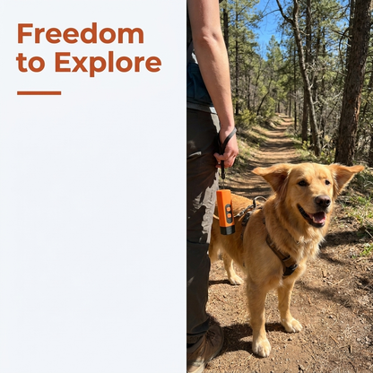Dog Barking Deterrent infographic - Freedom to Explore