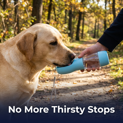 Dog drinking from the portable water bottle on a walk