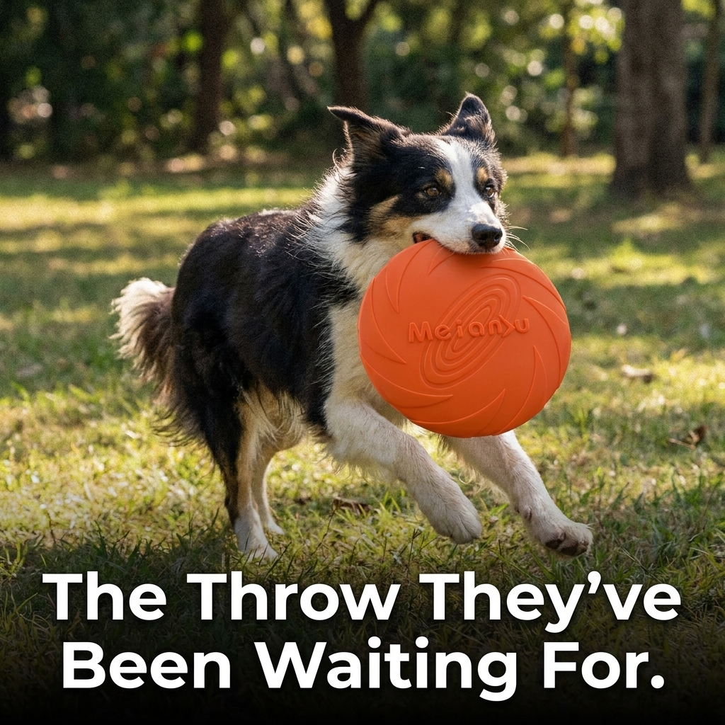 Flying Disc Toy lifestyle photo, dog running with disc