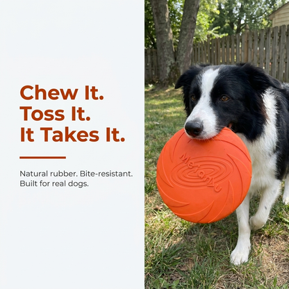 Flying Disc Toy lifestyle photo, dog chewing disc