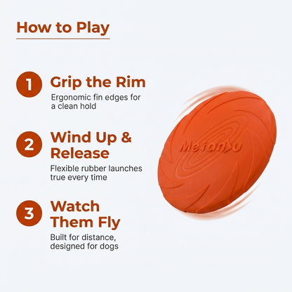 Flying Disc Toy infographic - How to Play