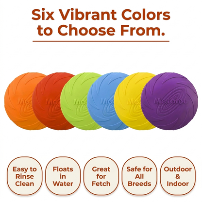 Flying Disc Toy infographic - Six Vibrant Colors