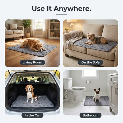 Dog Pee Pad Blanket infographic - Use It Anywhere