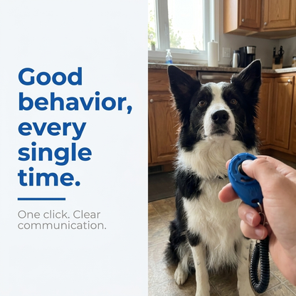 Dog Training Clicker lifestyle photo with owner