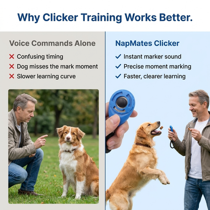 Dog Training Clicker infographic - how it works