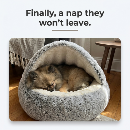 Cozy Plush Pet Cave Bed - Lifestyle