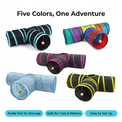 Cat tunnel - five vibrant colors one adventure