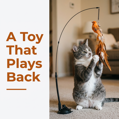 Interactive Bird Cat Toy - a toy that plays back