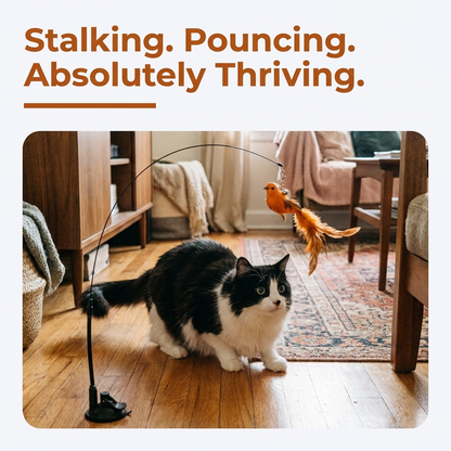 Interactive Bird Cat Toy - stalking pouncing absolutely thriving