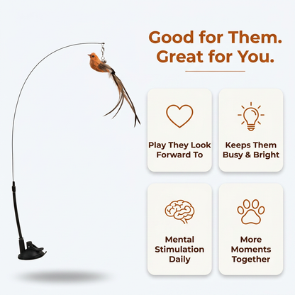 Interactive Bird Cat Toy - good for them great for you benefits