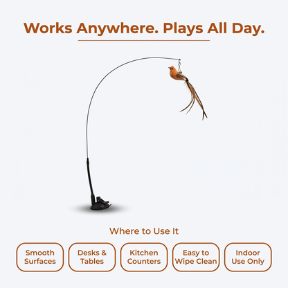 Interactive Bird Cat Toy - works anywhere plays all day