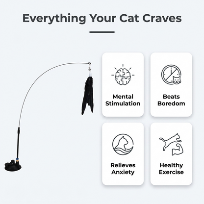 Feather cat wand - everything your cat craves benefits