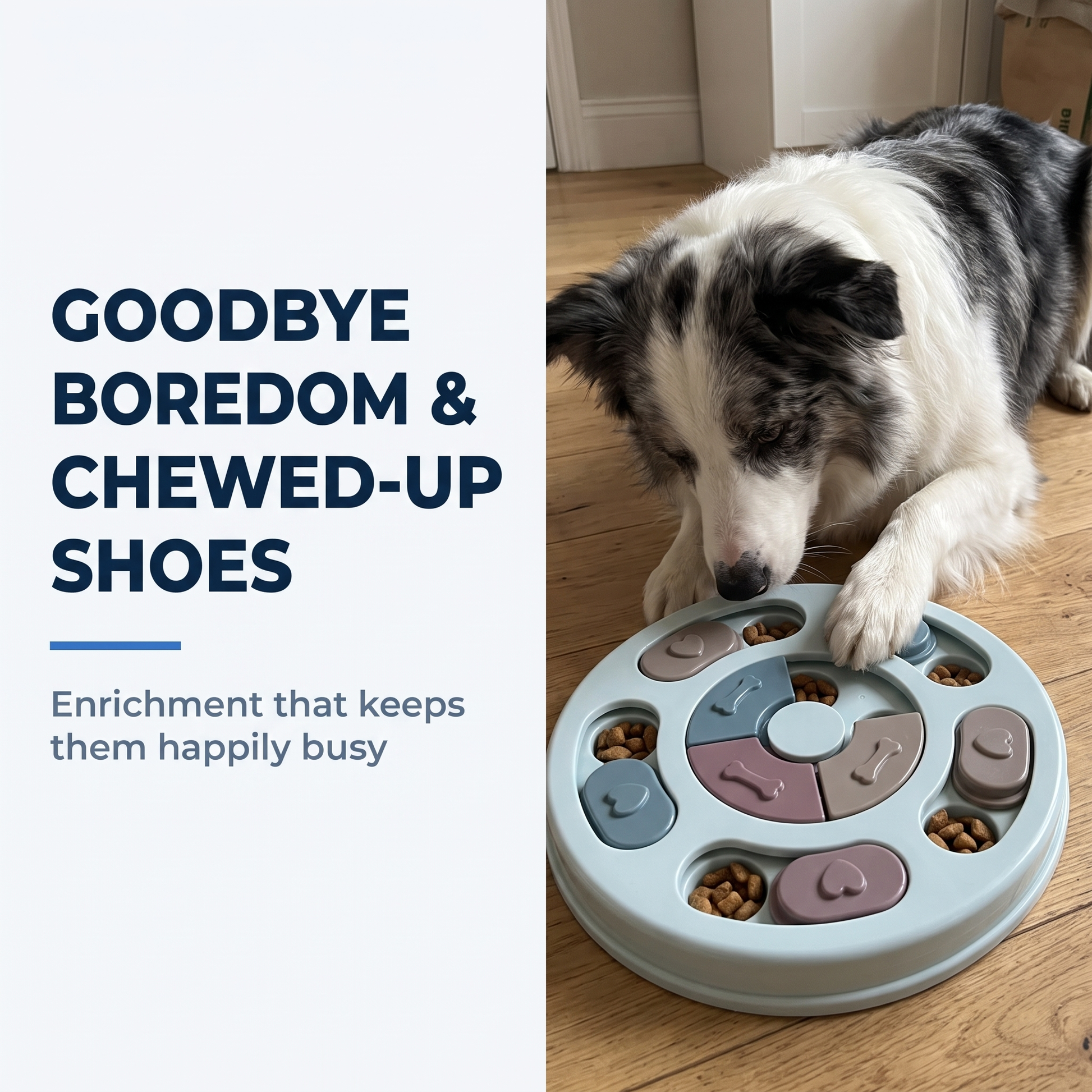 Border collie nose-down at a light blue slow feeder puzzle bowl, with text about ending boredom and chewed-up shoes