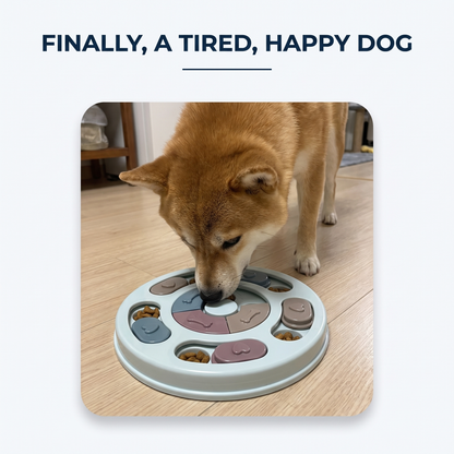 Shiba Inu eating from a light blue slow feeder puzzle bowl on a wood floor