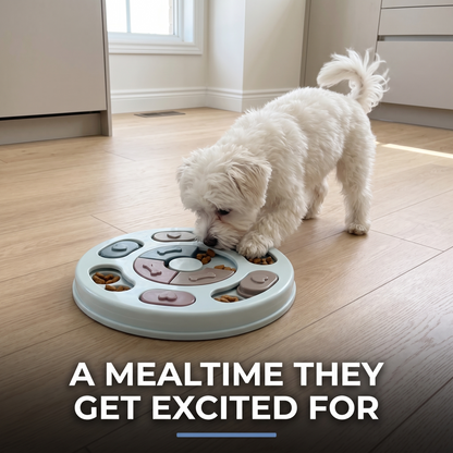 Small white dog eating from a light blue slow feeder puzzle bowl in a kitchen