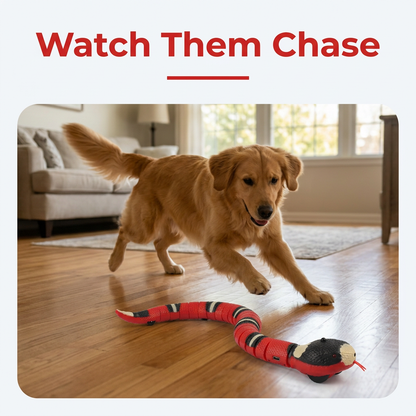 Watch them chase the interactive snake toy