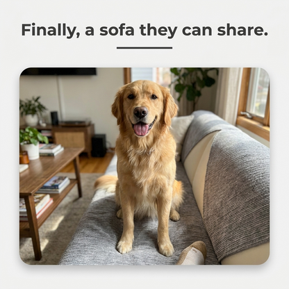 Golden retriever sitting on grey sofa cover with text Finally, a sofa they can share.