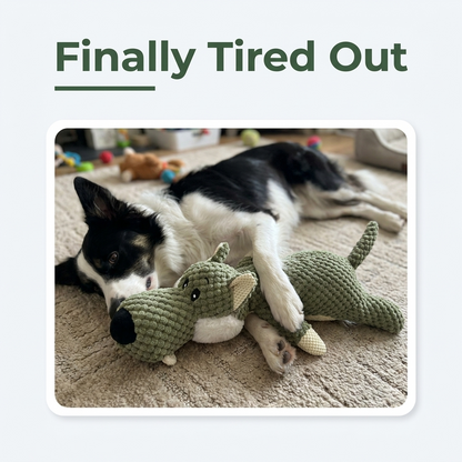 Dog sleeping next to the wolf toy with text Finally Tired Out