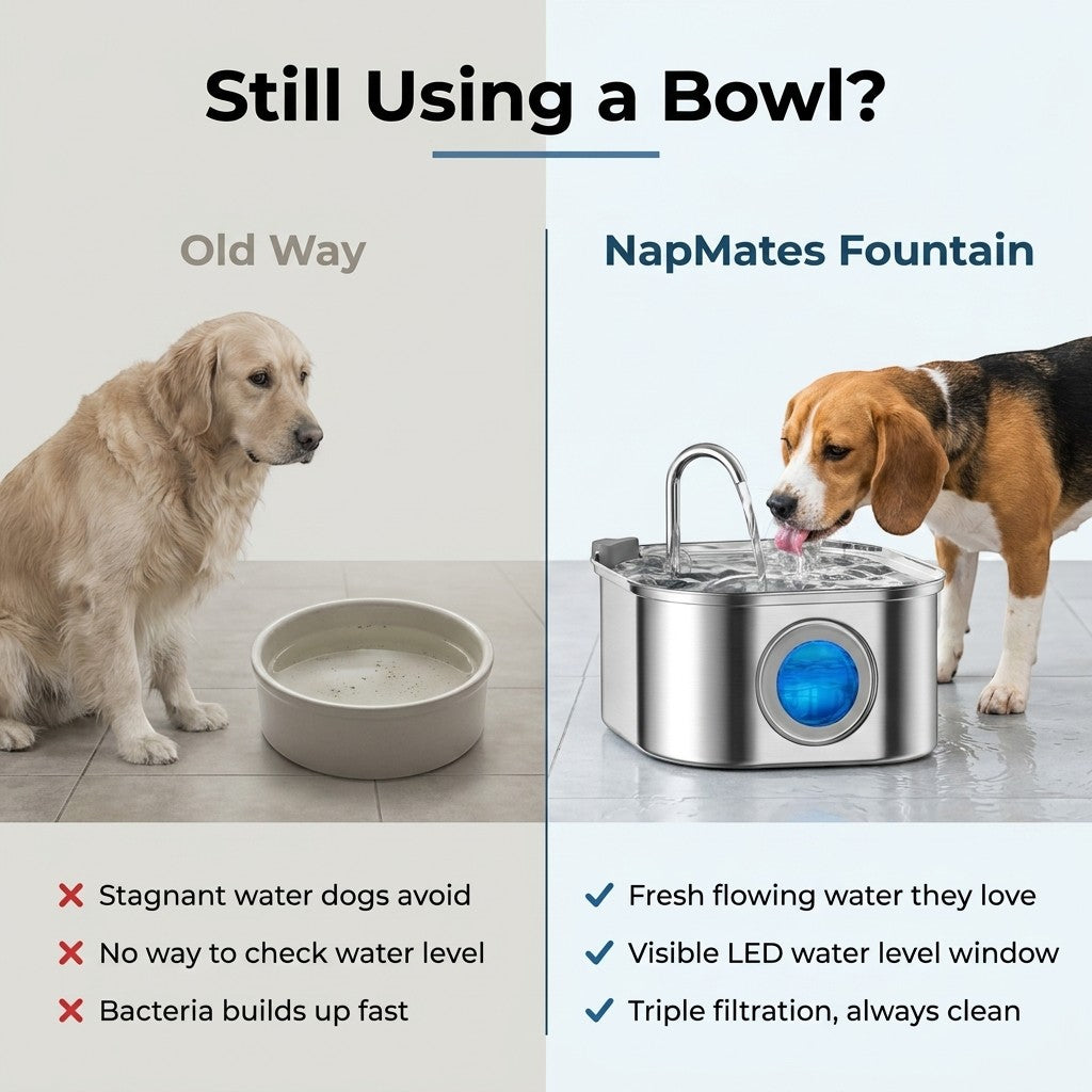 Comparison infographic contrasting a stagnant old-style water bowl with the fresh flowing stainless steel pet water fountain and its visible LED water-level window.